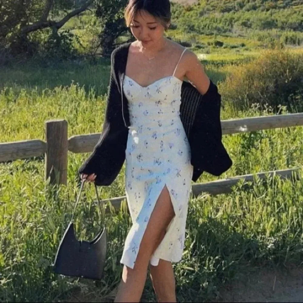 Aritzia Sun Deh Viola Floral Bustier Midi Dress Spring Toss Blue Sz L